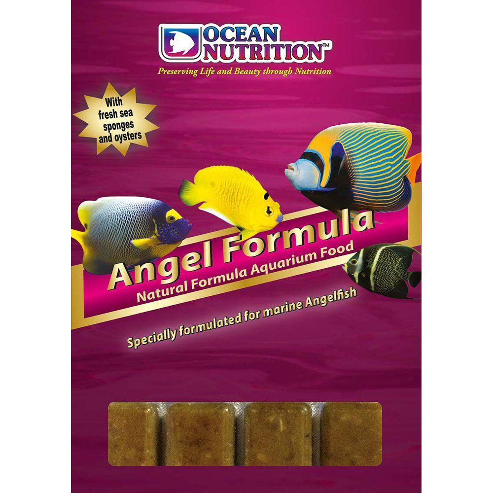 Ocean Nutrition Angel Formula 100g Frozen